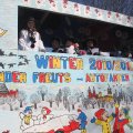 2011-03-06-fruehzug-095