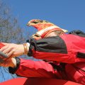 2011-03-06-fruehzug-100