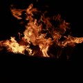 2011-03-08-verab-020