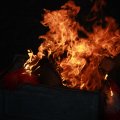 2011-03-08-verab-022